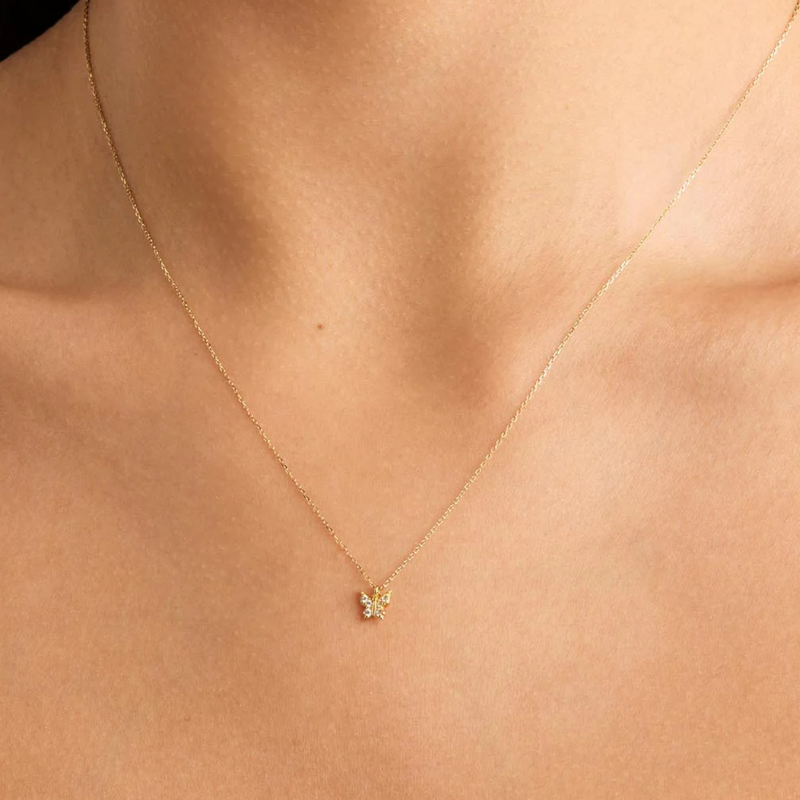 COLLAR APONI PLATA